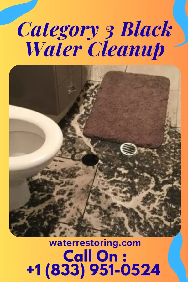 Category 3 Black Water Cleanup in Keansburg, NJ