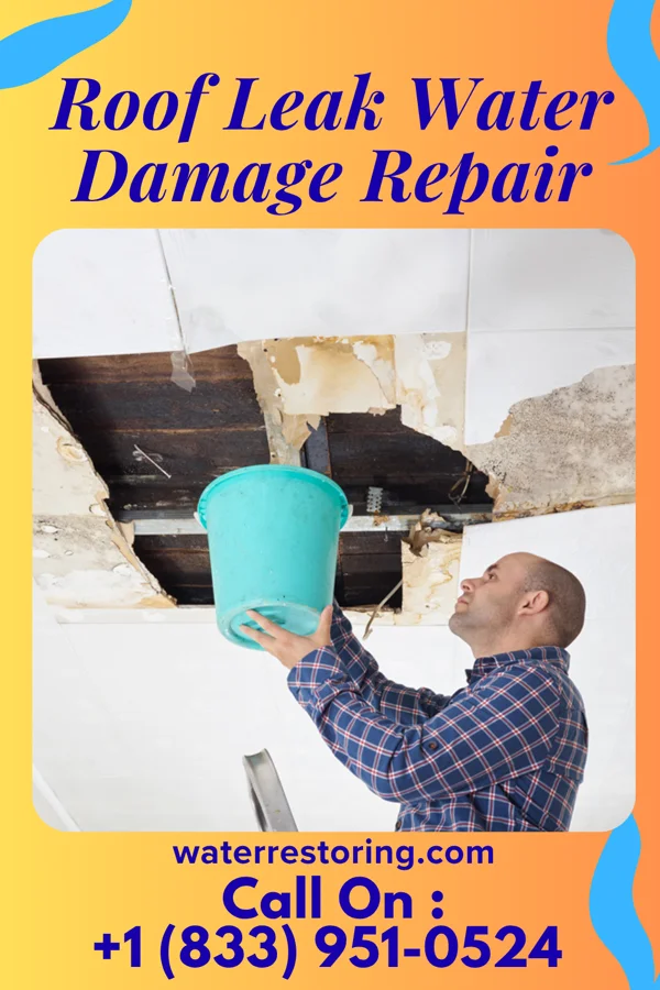 Roof Leak Water Damage Repair in Keansburg, NJ