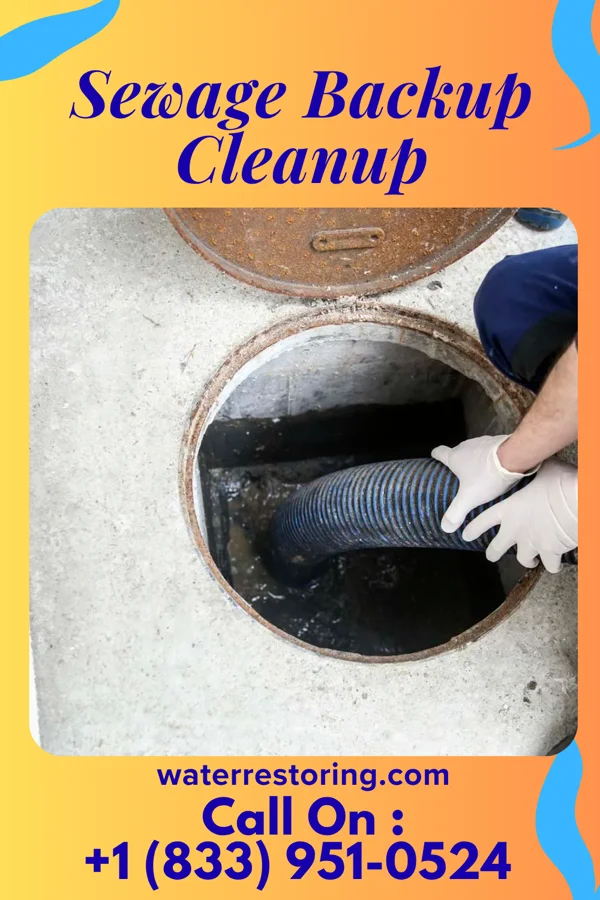 Sewage Backup Cleanup in Keansburg, NJ