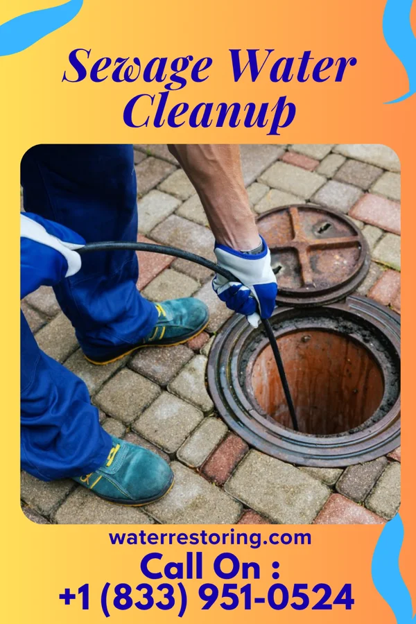 Sewage Water Cleanup in Keansburg, NJ